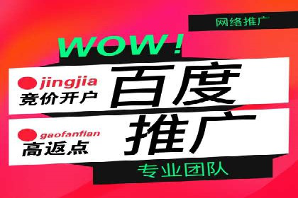 某企业通过百度推广服务费实现品牌飞跃